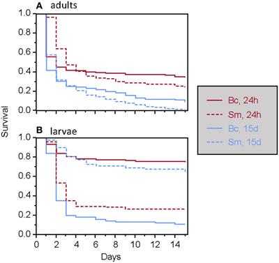 Infection risk by oral contamination does not induce immune priming in the mealworm beetle (Tenebrio molitor) but triggers behavioral and physiological responses